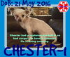 CHESTER