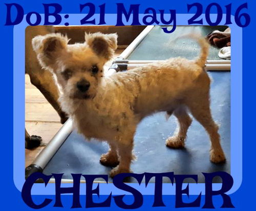 CHESTER