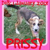 PRISSY-1