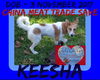 KEESHA - CHINA SAVE