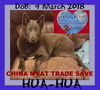 HUA-HUA - CHINA SAVE