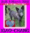 XIAO-CHANG - CHINA SAVE