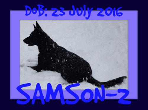 SAMSON-2