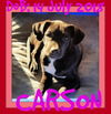 CARSON - $300