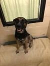 BETH-2 - Reduced $350