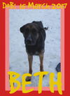 BETH-2 - Reduced $350