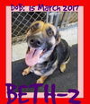 BETH-2 - Reduced $350