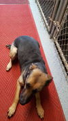 BETH-2 - Reduced $350