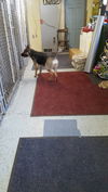 BETH-2 - Reduced $350