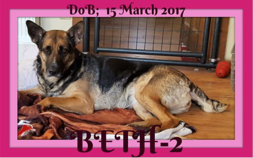 BETH-2 - Reduced $350