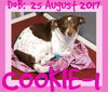 COOKIE-2