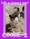 COOKIE-2