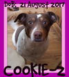 COOKIE-2