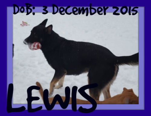 LEWIS