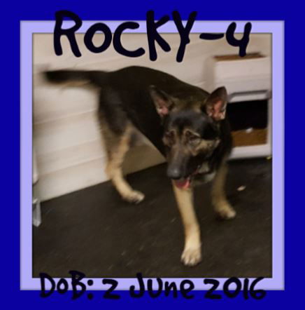 ROCKY-4