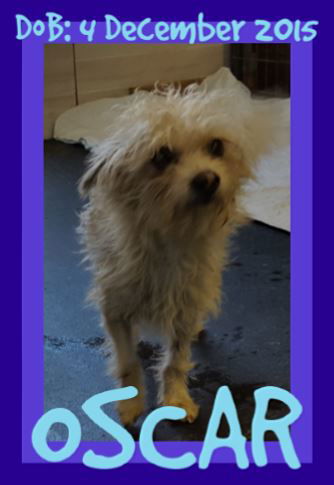 OSCAR
