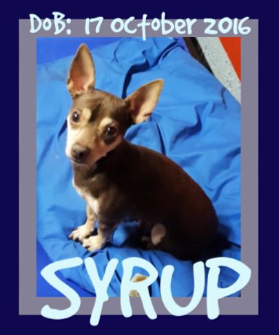 SYRUP