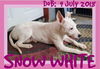SNOW-WHITE
