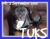 TUKS