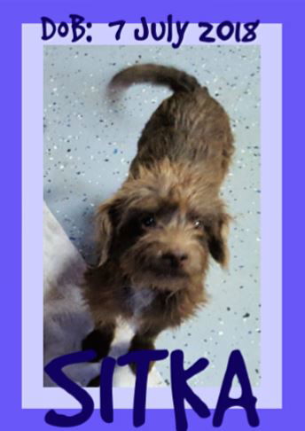 SITKA