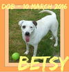 BETSY-AS - Reduced $100