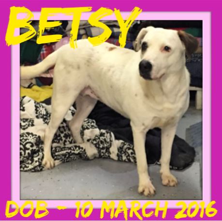 BETSY-AS - Reduced $100