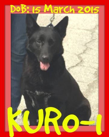 KURO-1 - Reduced $350