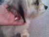 LUCY-1