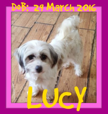 LUCY-1
