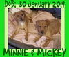 MICKEY & MINNIE-1 - $800 bonded pair