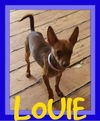 LOUIE