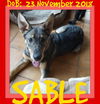 SABLE