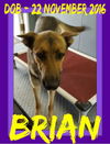 BRIAN