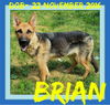 BRIAN