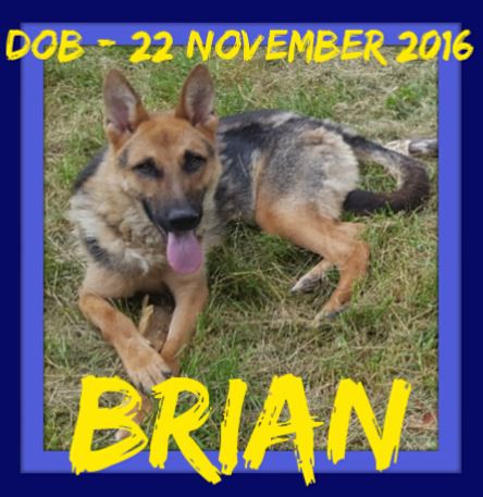 BRIAN