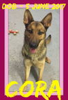 CORA