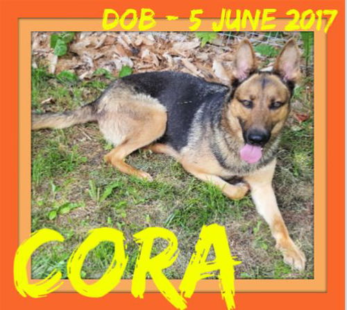 CORA