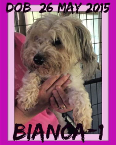BIANCA-1