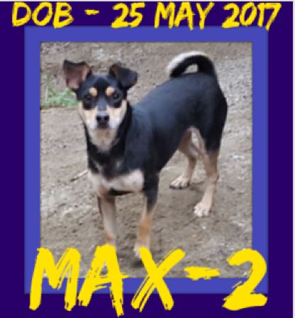 MAX-2