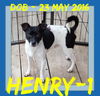 HENRY-1