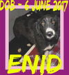 ENID