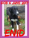 ENID
