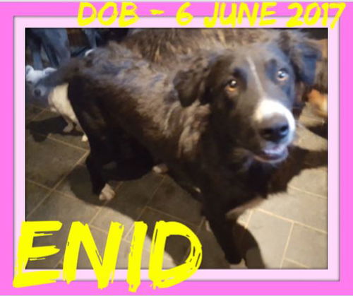 ENID