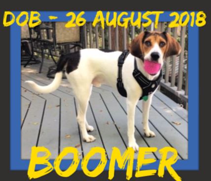 BOOMER