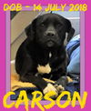 CARSON-Girl - $300