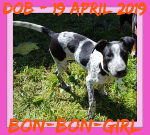 BON-BON-Girl