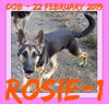 ROSIE-1