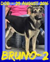 BRUNO-2