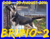 BRUNO-2