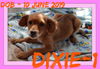 DIXIE-1